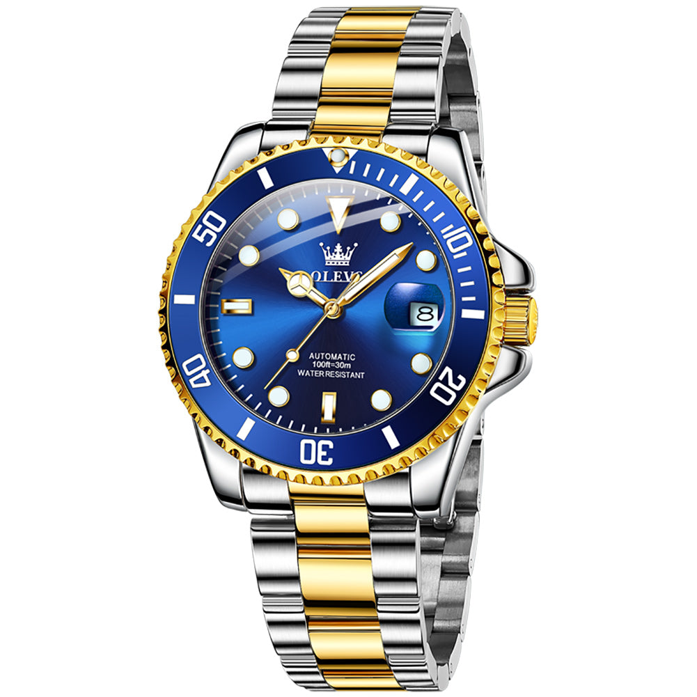 31 Men's Classic Stainless Steel Automatic Watch