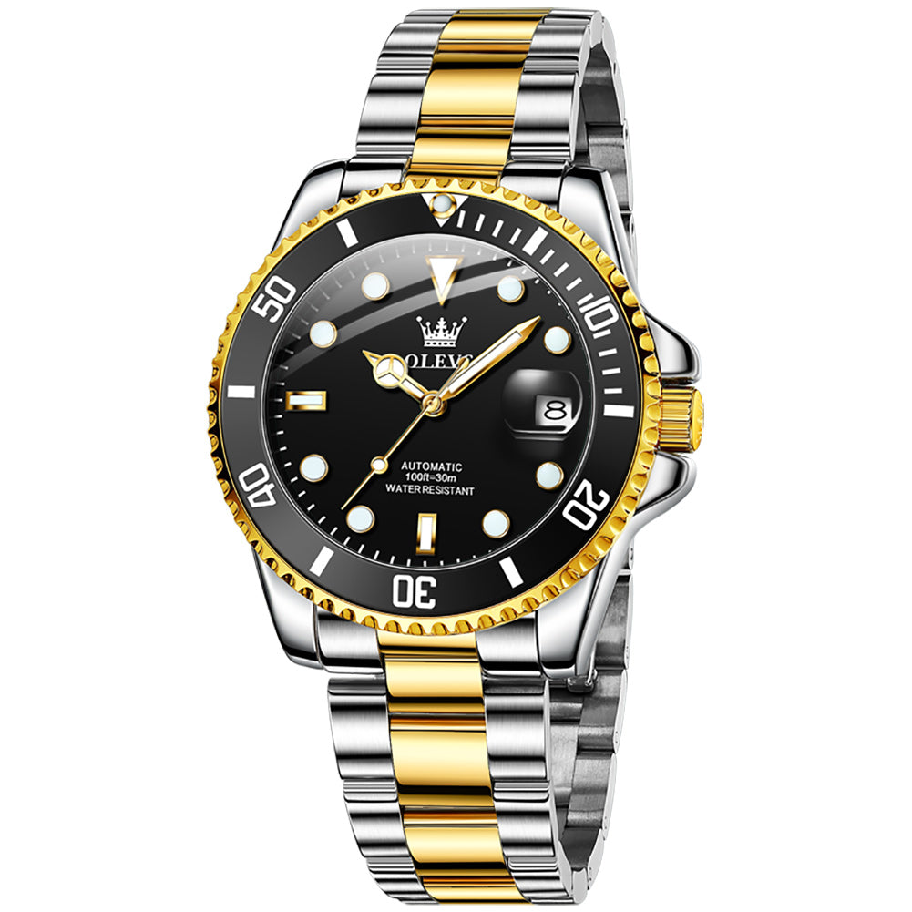 31 Men's Classic Stainless Steel Automatic Watch